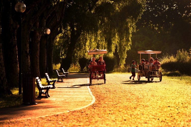 YILMAZ DİNÇER